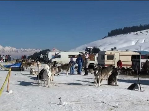 2010 Championnat de France aux saisies en traineau à chiens