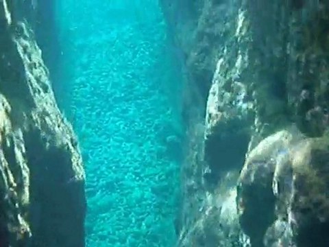 Snorkeling Crique de l'Anse Dufour Martinique