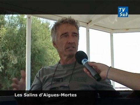 Les Salins d'Aigues-Mortes