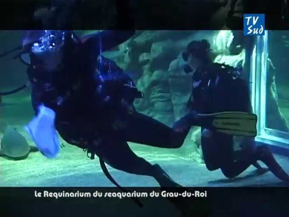 Le Requinarium du seaquarium du Grau-du-Roi