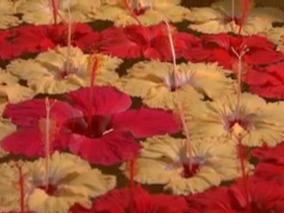 CONRAD Maldives Rangali Island