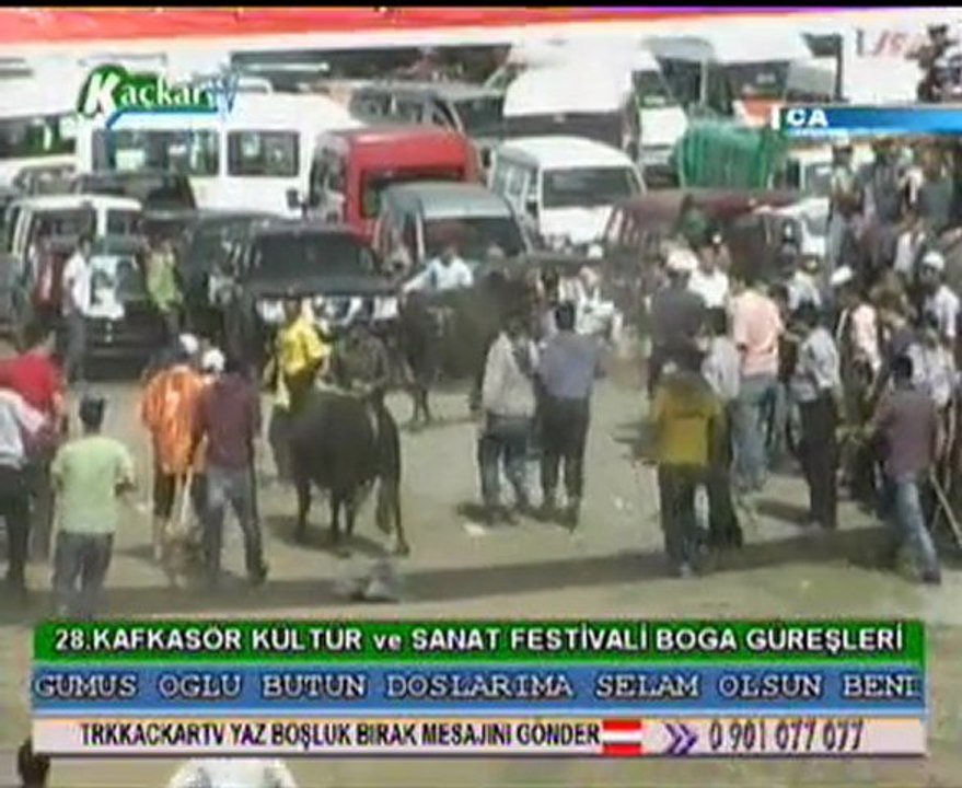Artvin Videoları Kafkasör  Festivali Boğa Güreşleri 2008