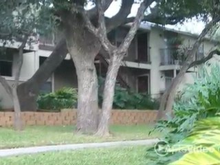 San Antonio Station Apartments in San Antonio, TX - ...