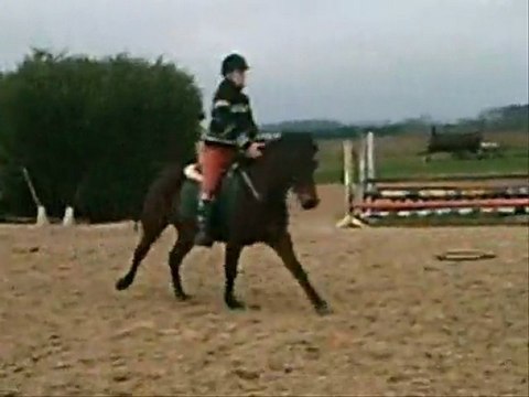 Entrainement Pony Games Allez les Verts