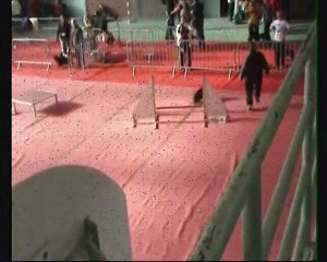 Dieuze 2010 - Open Degrés