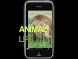 Animal Life - Mammals Vol. I