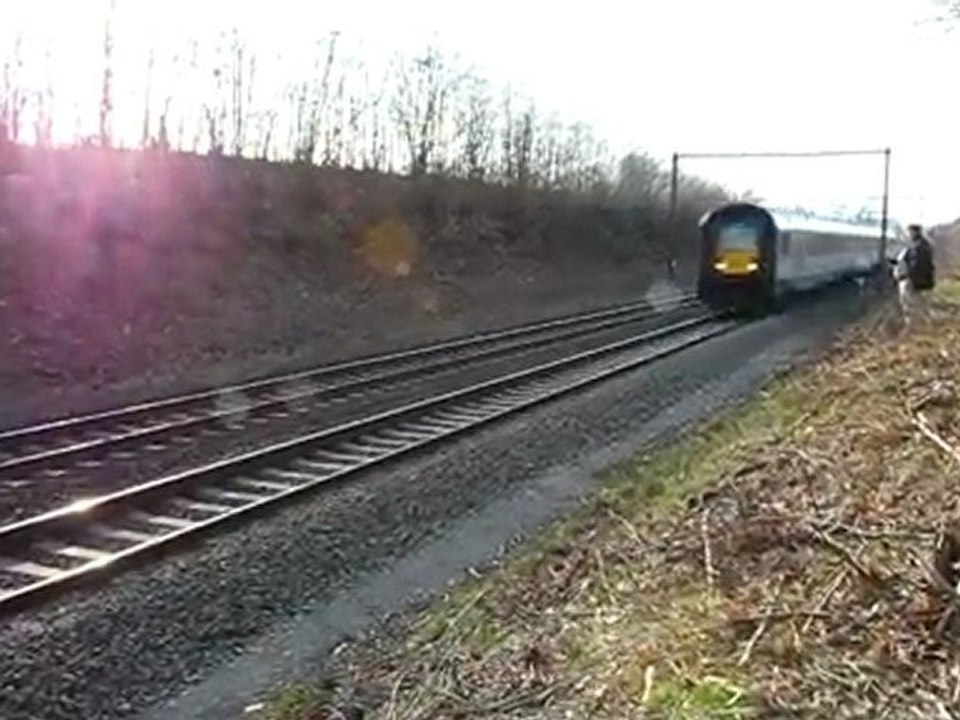 TRAIN