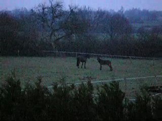 doux réveil matin