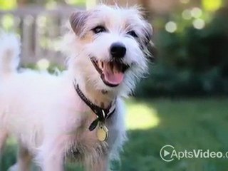 Greenhaven Apartments in McKinney, TX - ForRent.com