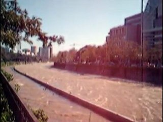 Valoremos a nuestras Gaviotas