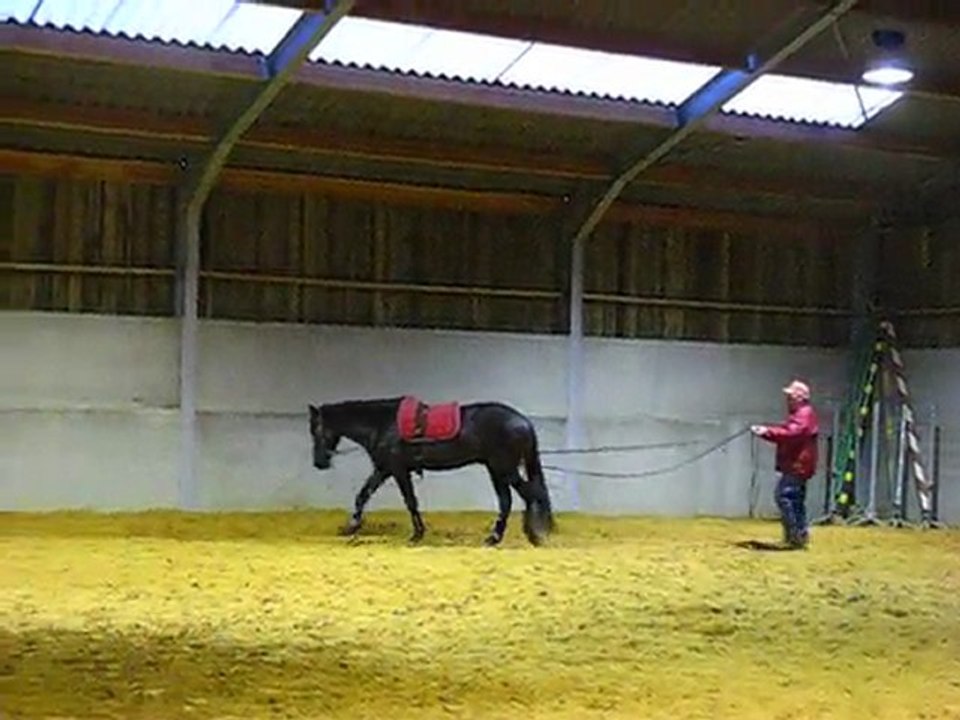 Ulys Ben longues rênes 10