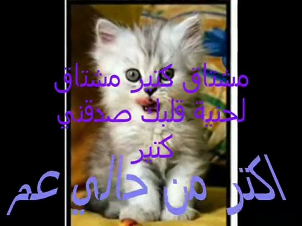 saso