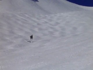 Champ de bosses pour Delphine