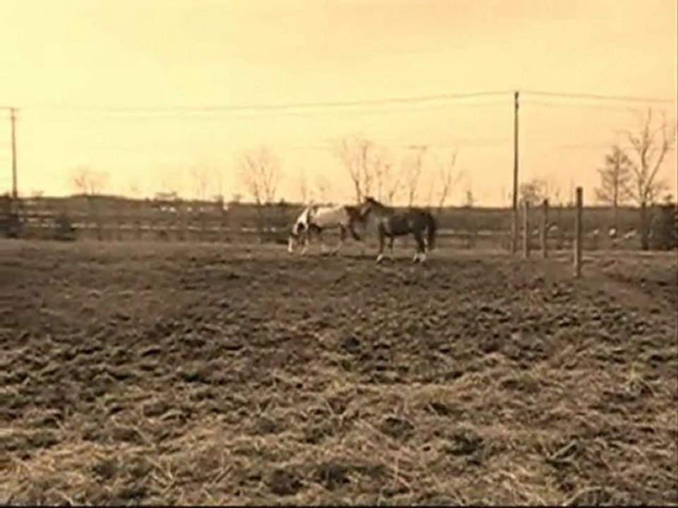 sparky en liberté mars 2010