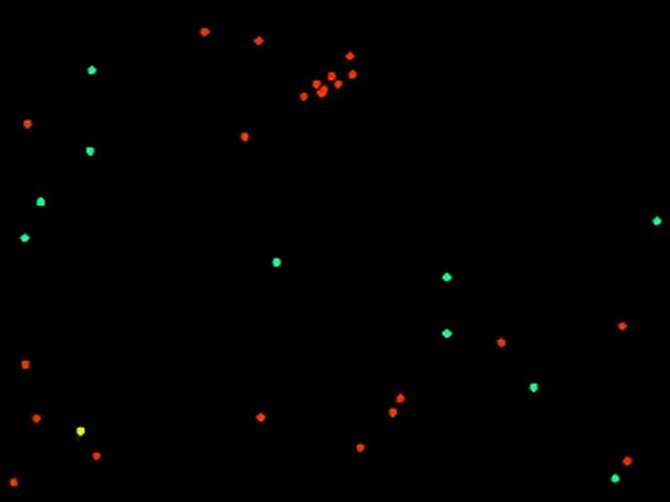 Evolution de mes poissons