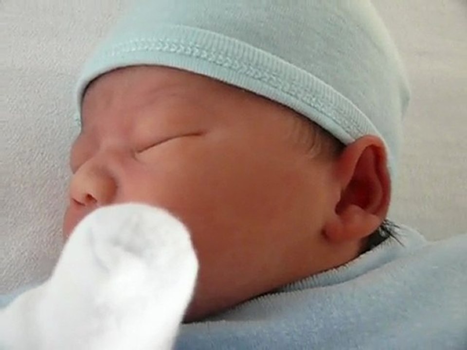 Photo 196