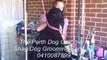 Perth Dog Grooming - Shag Dog Grooming Services - Grooming A