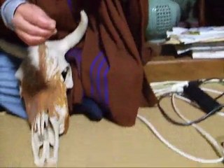 Como acertar na Loteria Lotto 6