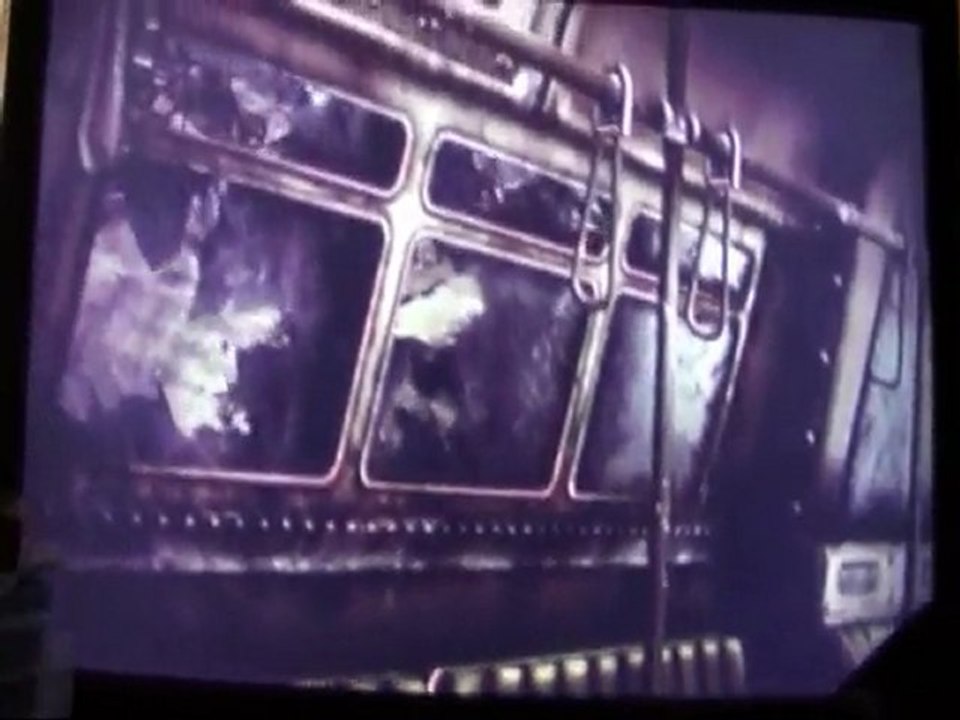 Fallout short