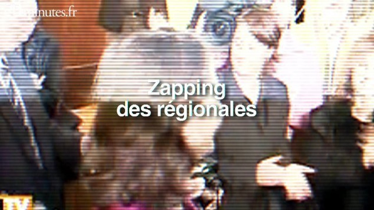 zapping des regional second tour 2010