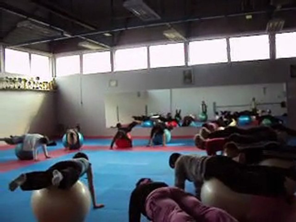 Formation Continue Fit-Ball du 6 mars 2010