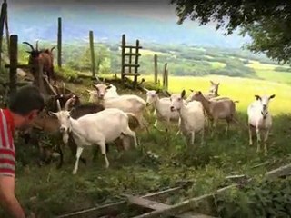 Au panier Garni - Vente produits artisanaux,miel et vin