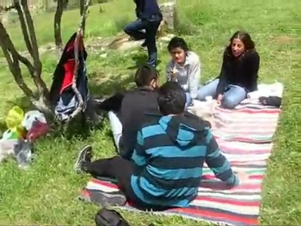 2007 harmancik - Aydogdu