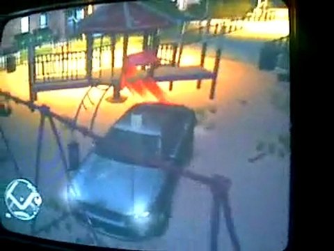 gta IV bug de la balancoire