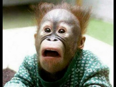 Flight Socks - Finding The Best Pair, And Getting The Facts