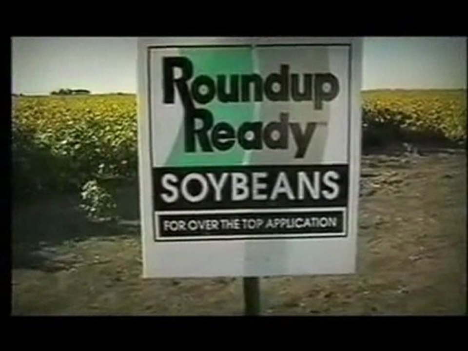 GMO - obalenie mitów