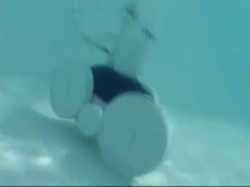 Robot Piscine Polaris 280