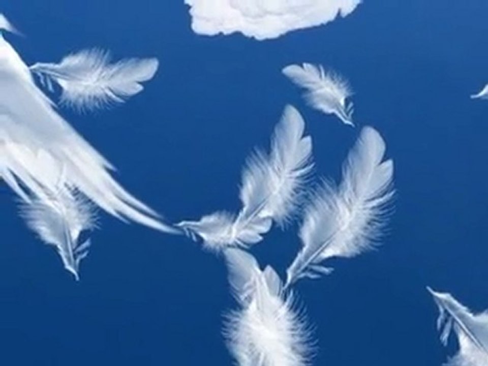 Les mots Georges Chelon