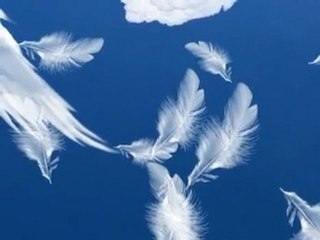 Les mots Georges Chelon