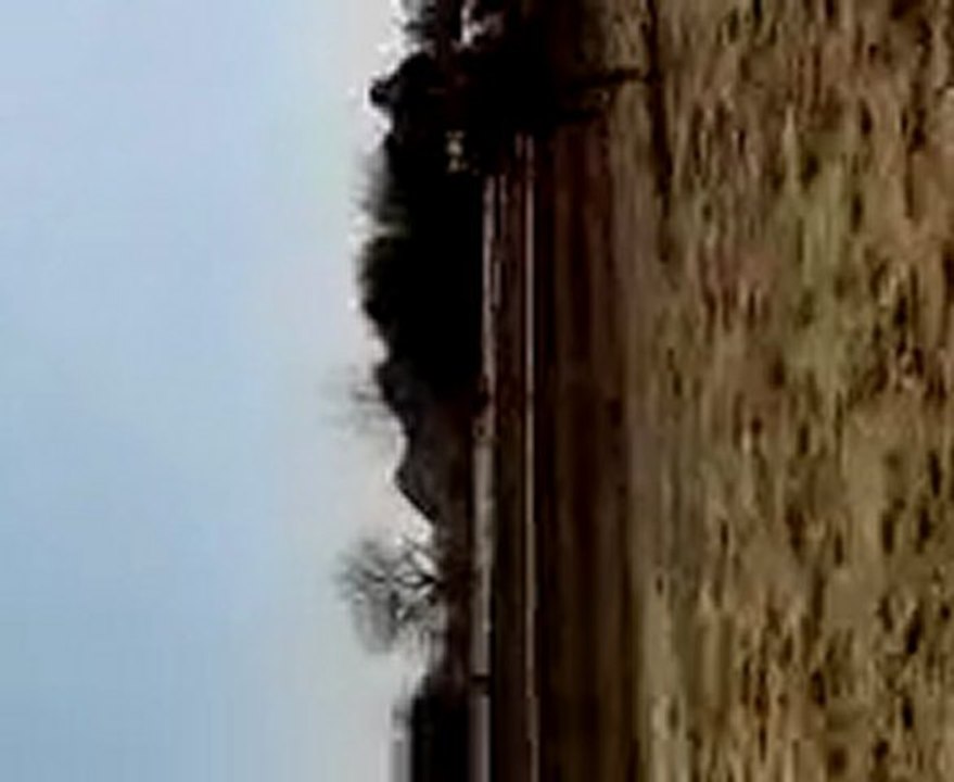 MOV00795