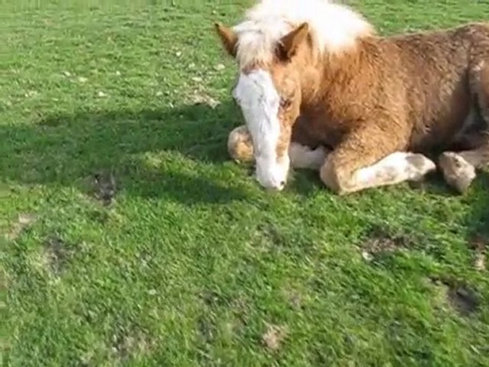 Encore un Couché de Vasco 6 mois...