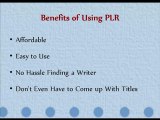 PLR Private Label Rights - Just What Is It?