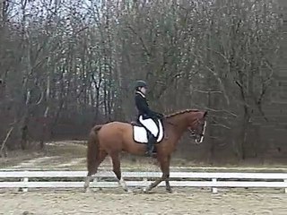 Dressage Mourmelon