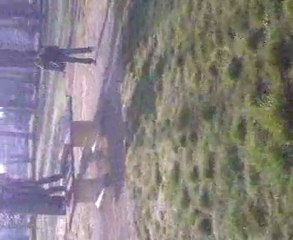 le skate sa fait mal