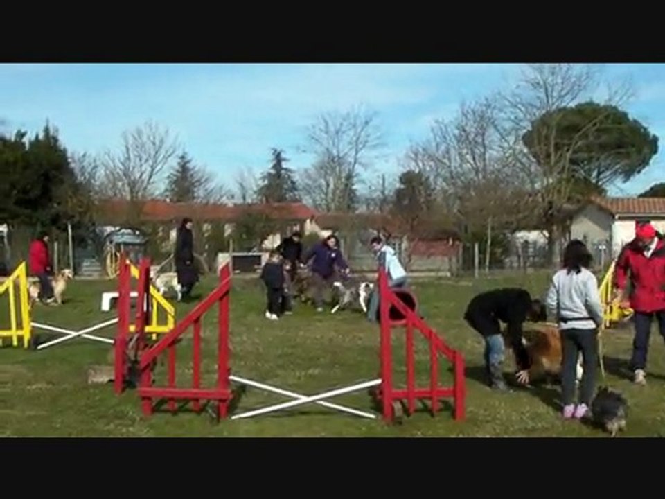 Les amis cynophiles de Verfeil 31