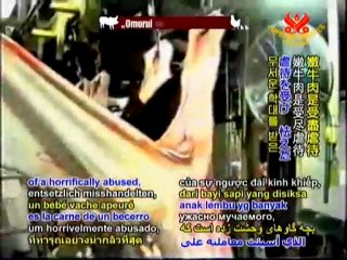 Fabrice Nicolino-The Meat Industry Threatens Our World-P1/2