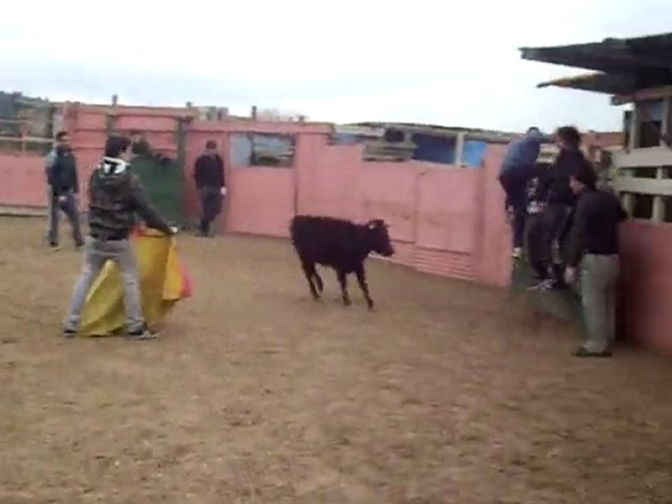 Capeas en Logroño La Rioja (Despedidas de solteros)
