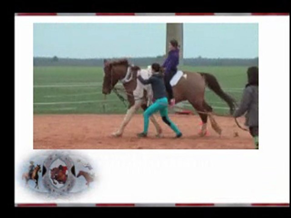 spectacle de voltige - Journée fermière (14 03 2010)