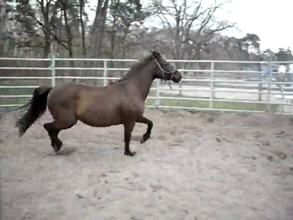 Rafia rond mars 2010