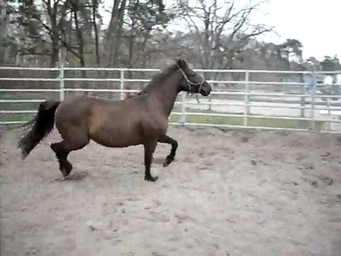 Rafia rond mars 2010