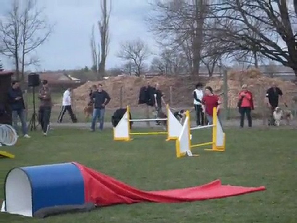 Agility Montrond-Les-Bains le 21 mars 2010