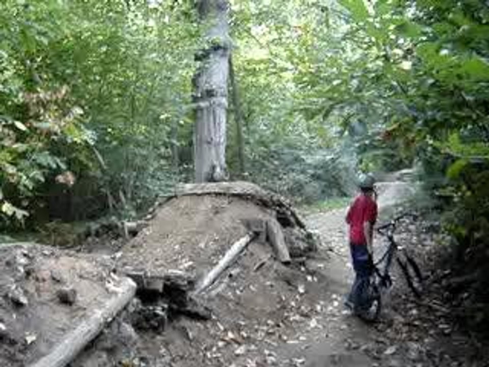 24nikko et bod
