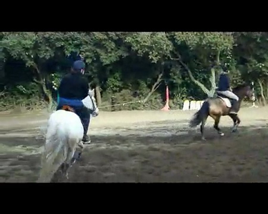 Reprise du 20 mars 2010