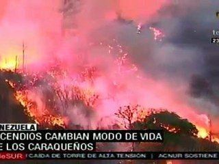 Venezuela: incendio en el Warairarepano afectó más de 130