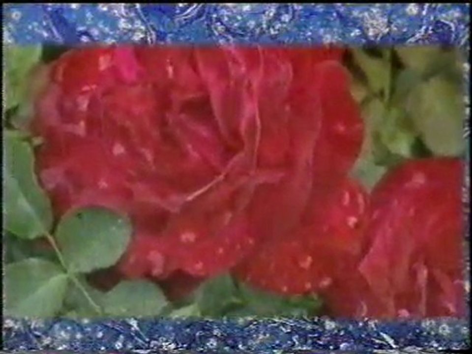 Nurullah Genç ve İskender Pala - YAĞMUR ŞİİRİ