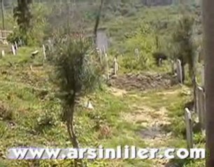 Özlü Bostanlı Camii 2